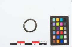 Foto von Bronzering (NHMW-PRAE-025501)